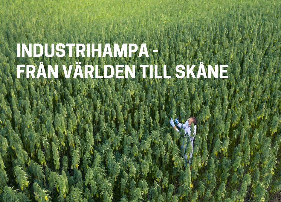 Industrihampa – från världen till Skåne