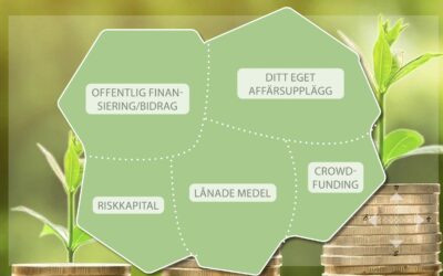 Finansieringskartan – din guide till olika finansieringsmöjligheter