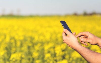 ”Produktionsinnovation är en naturlig del av vardagen som företagare på landsbygden”