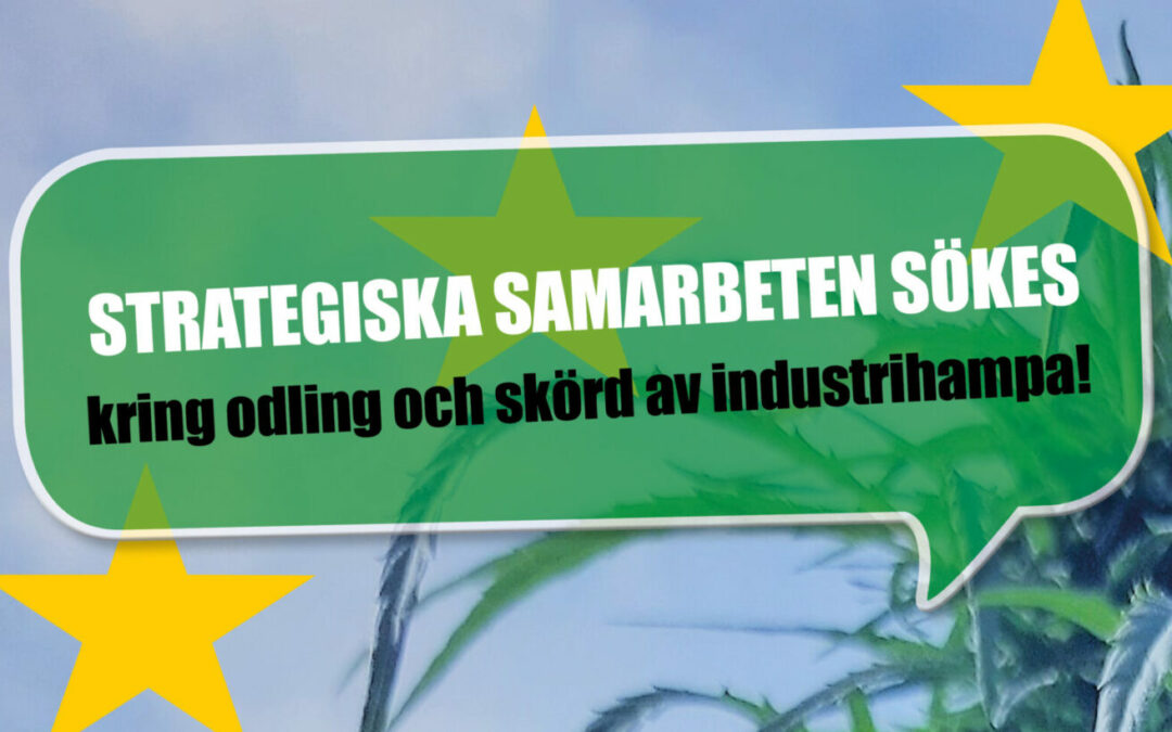 Spännande utvecklingsmöjligheter för industrihampa