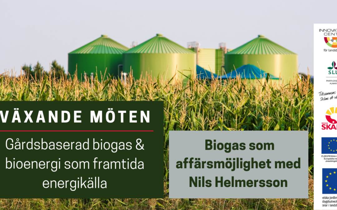 Biogas som affärsmöjlighet