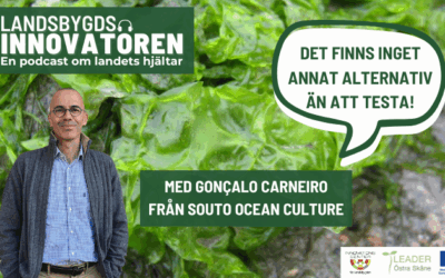 Landsbygdsinnovatören: Gonçalo Carneiro från Souto Ocean Culture