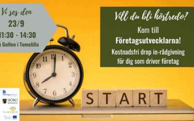 Företagsutvecklarna hjälper dig bli redo för hösten