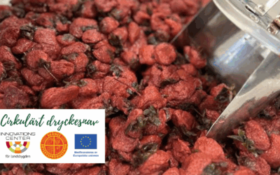 Fler spännande livsmedelsprototyper