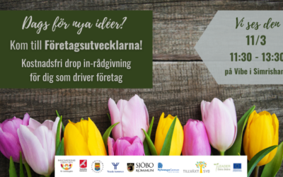 Har du en idé för ditt företag och vill ta nästa steg?