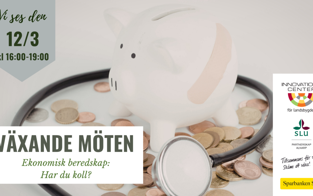 Ekonomisk beredskap: har du koll?