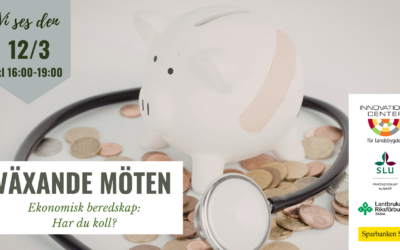 Ekonomisk beredskap: har du koll?