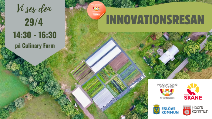 Hur ska ditt företag växa vidare?