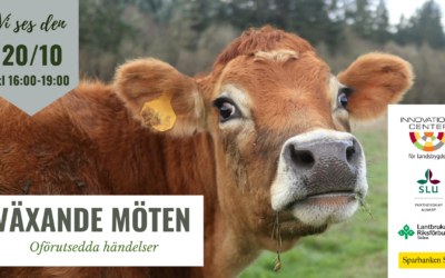 Nästa Växande möte: oförutsedda händelser